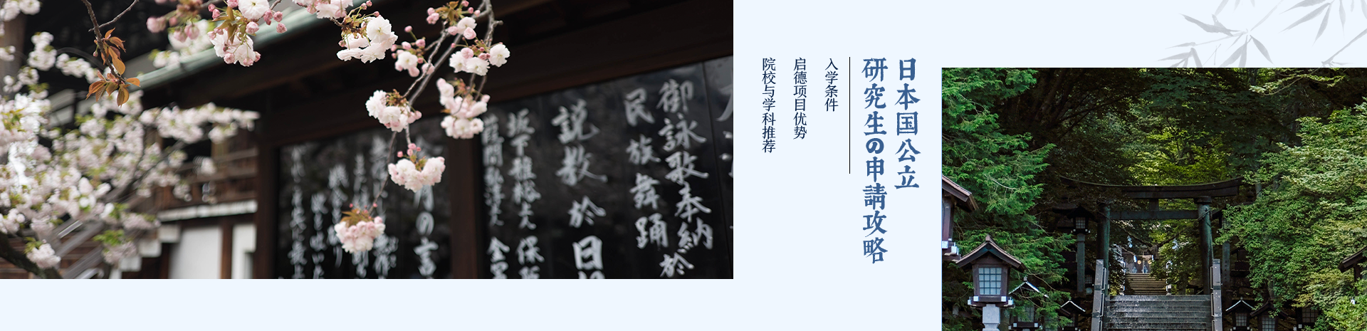 日本大学院