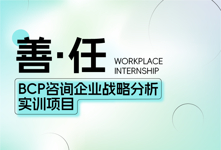 【善.任】BCP咨询企业战略分析实训项目