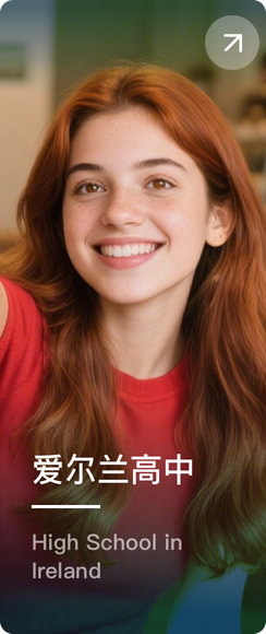 爱尔兰高中