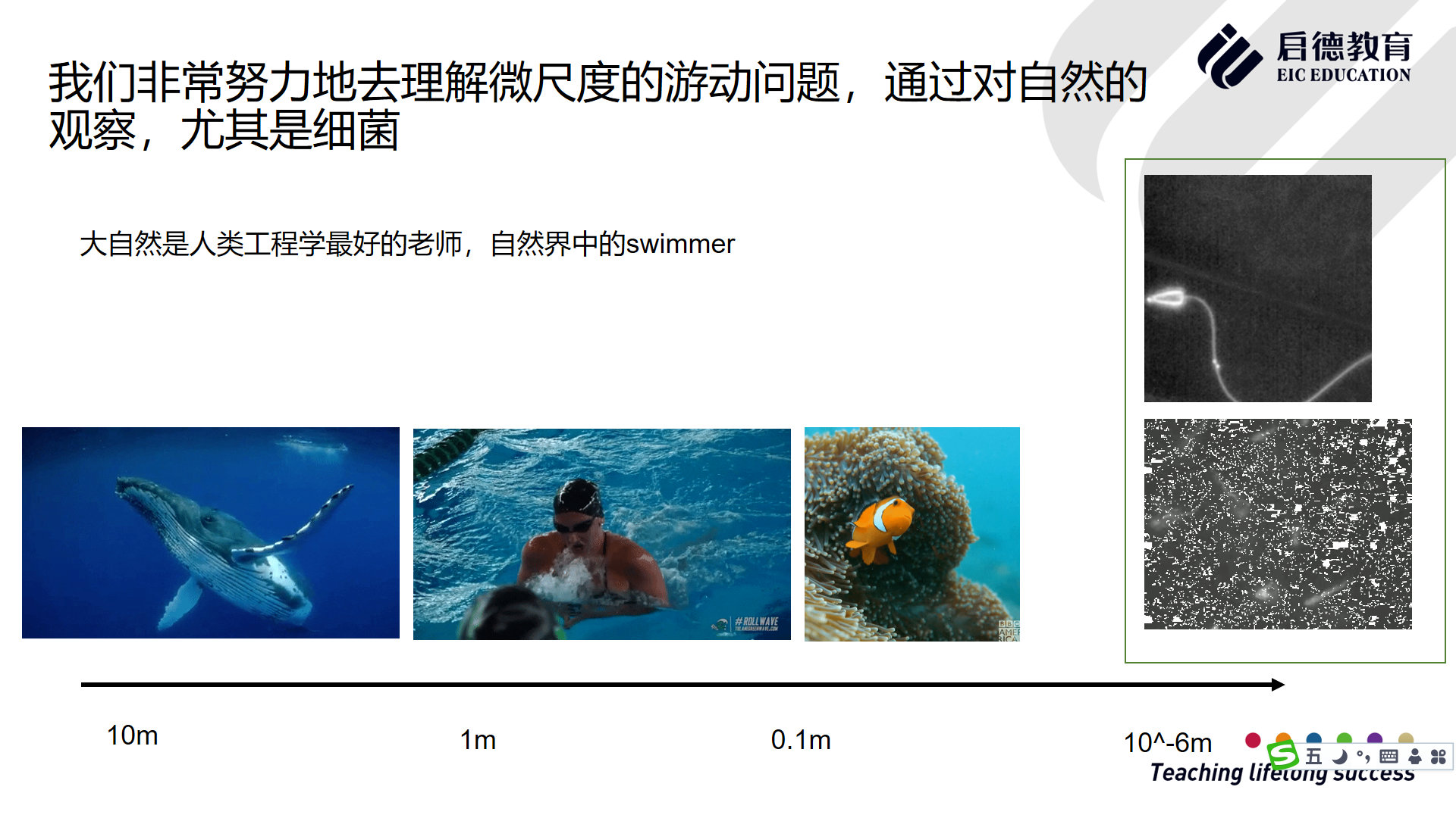 科研图2.jpg