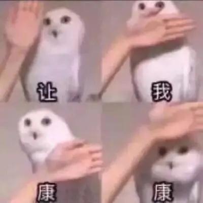 场景图片