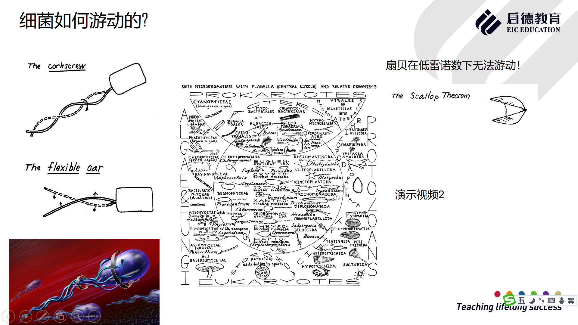 科研图4.jpg