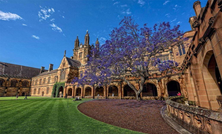 微信图片_20220511100204.jpg 微信图片_20220511100204.jpg