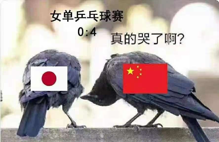 c08c5fc5254cbd2d1e34fcad1e158eb.jpg