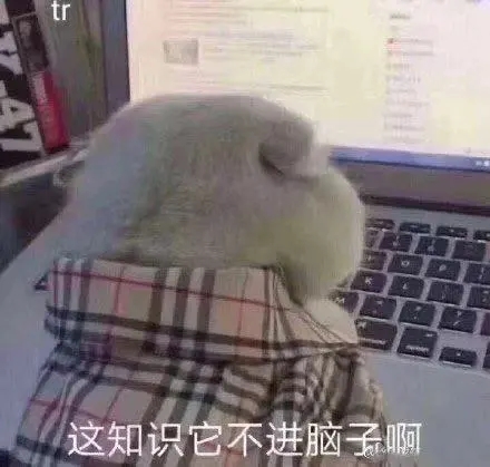 13.webp.jpg