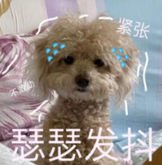 瑟瑟发抖表情.png